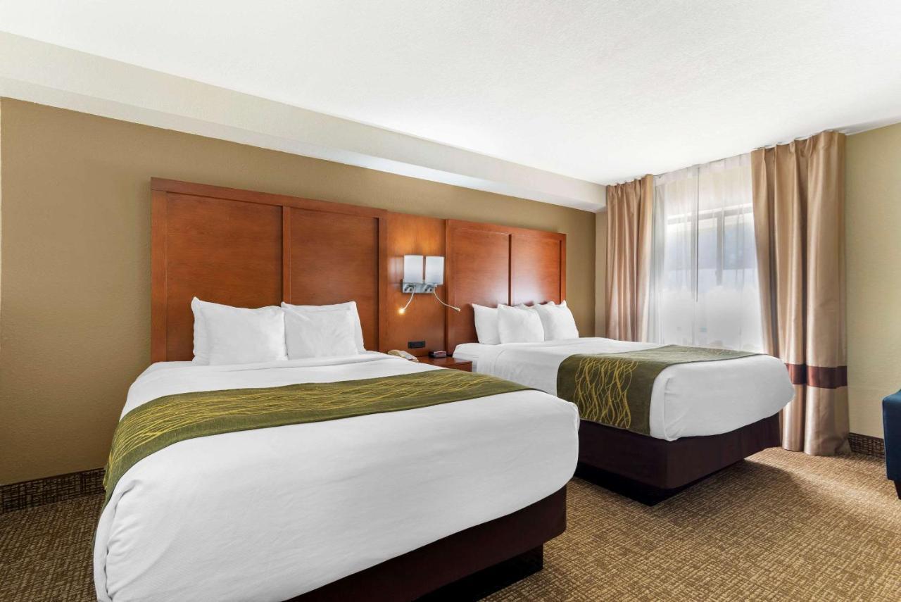 Comfort Inn & Suites - Near Robins Air Force Base Main Gate Warner Robins Exteriör bild